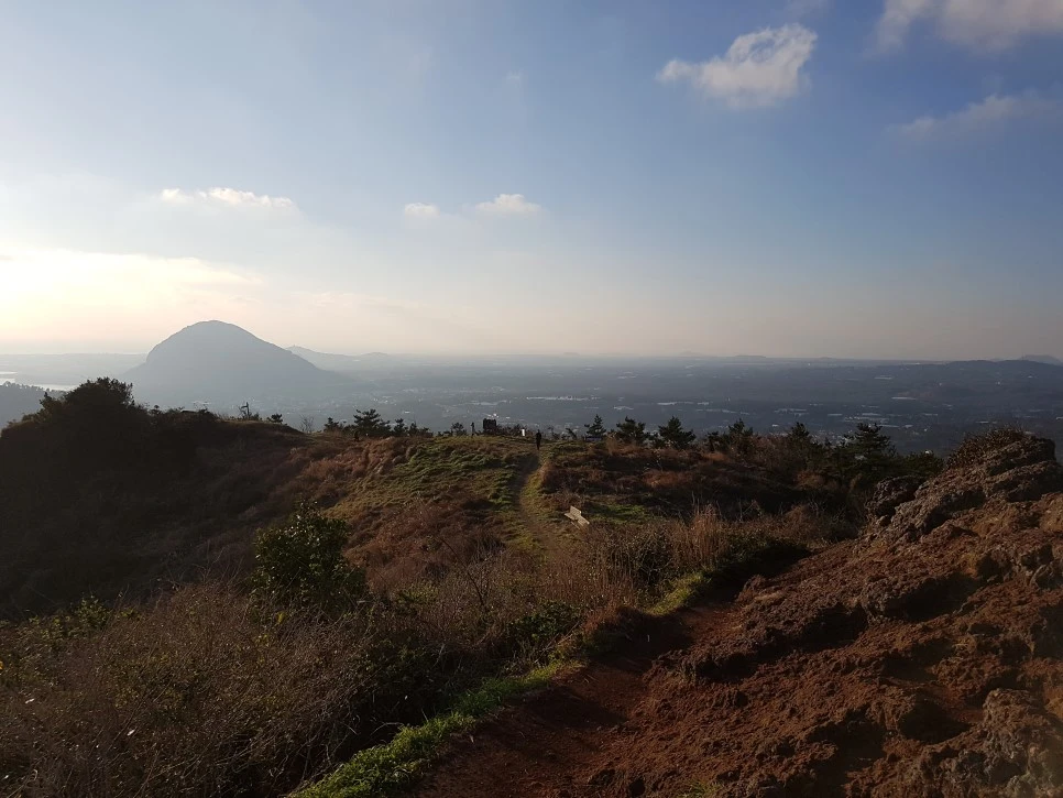 20170101_163351.jpg?type=w966