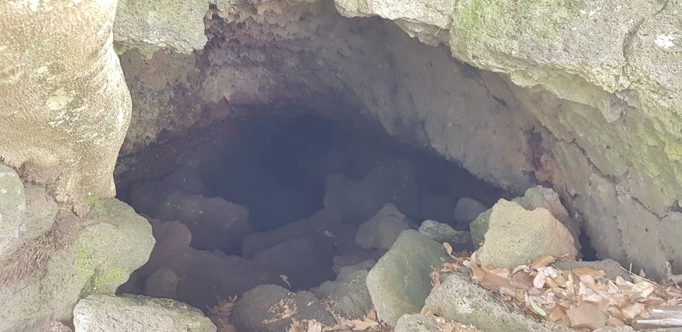 20180610_144512.jpg?type=w966