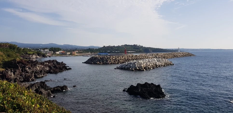 20180922_082352.jpg?type=w966