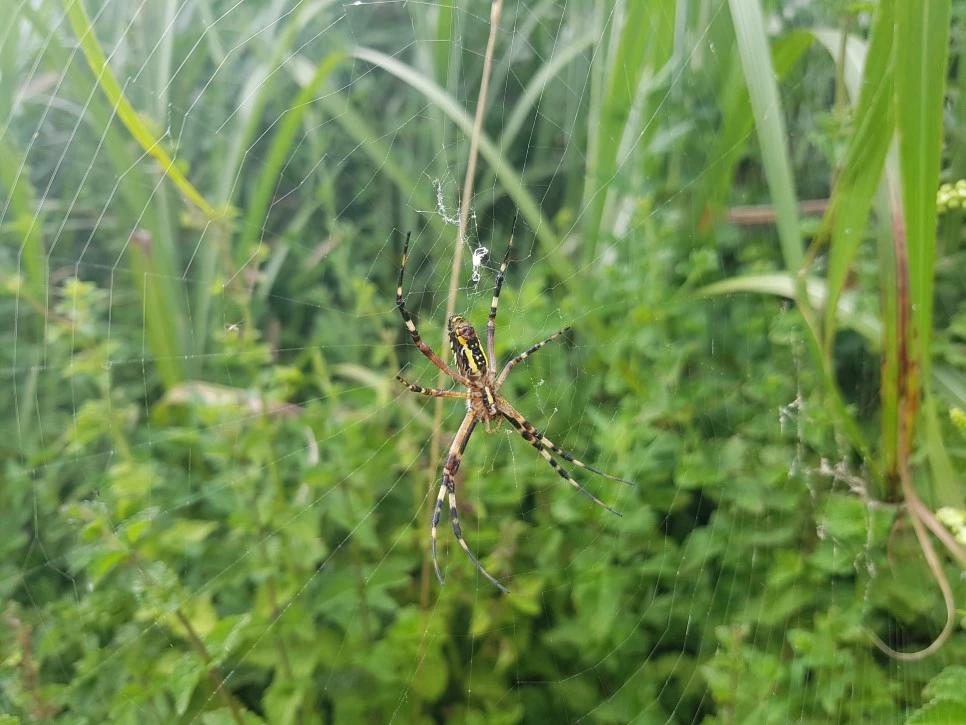 20160826_135839_001.jpg?type=w966