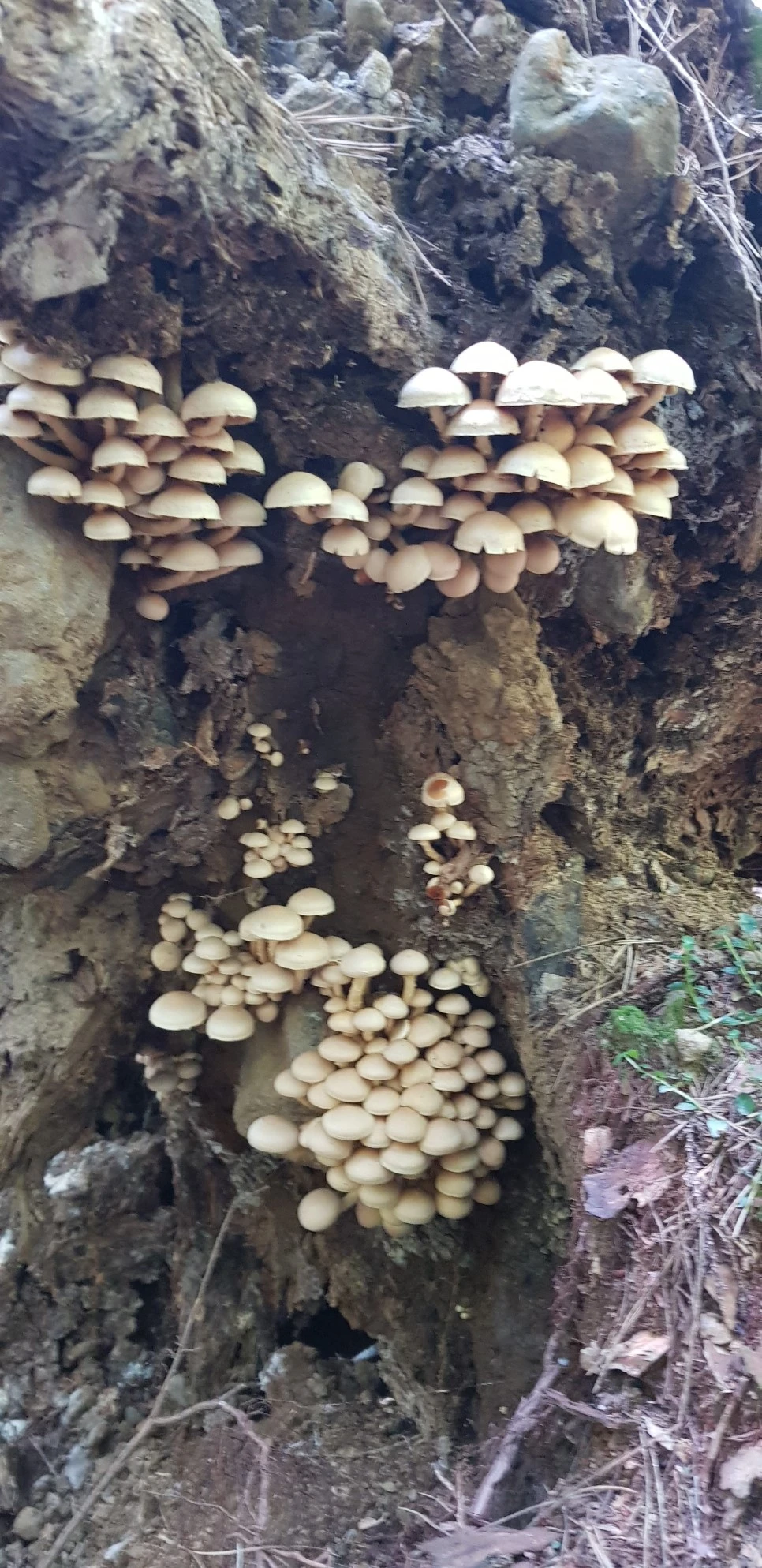 20180802_113450.jpg?type=w966