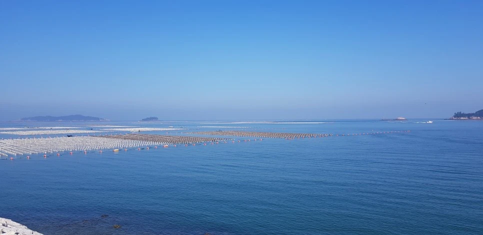 20181013_102321.jpg?type=w966