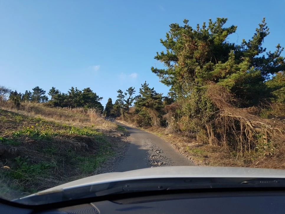 20170101_162103.jpg?type=w966