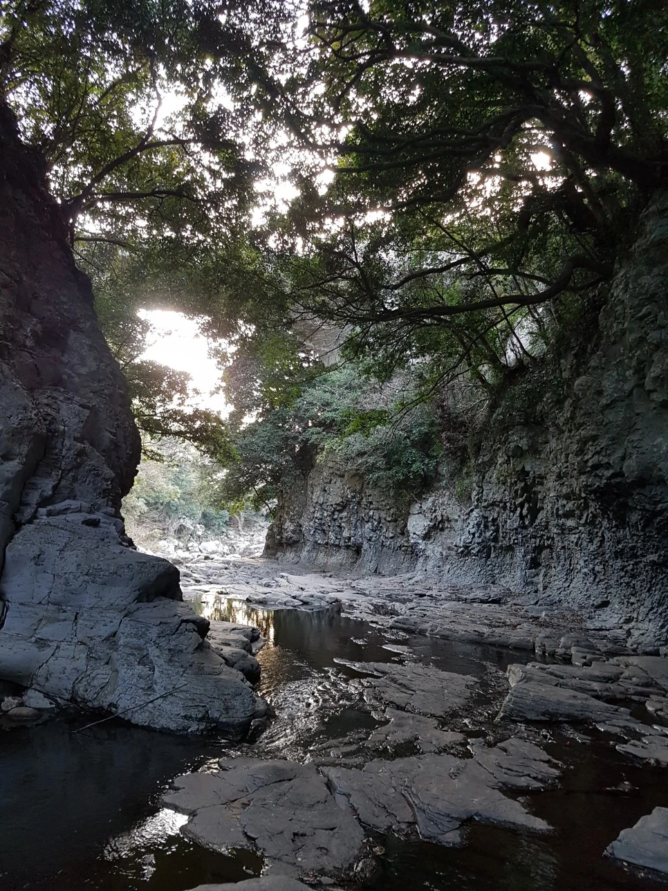 20170305_175800.jpg?type=w966