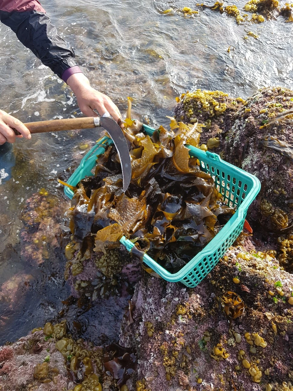 20170329_161910.jpg?type=w966