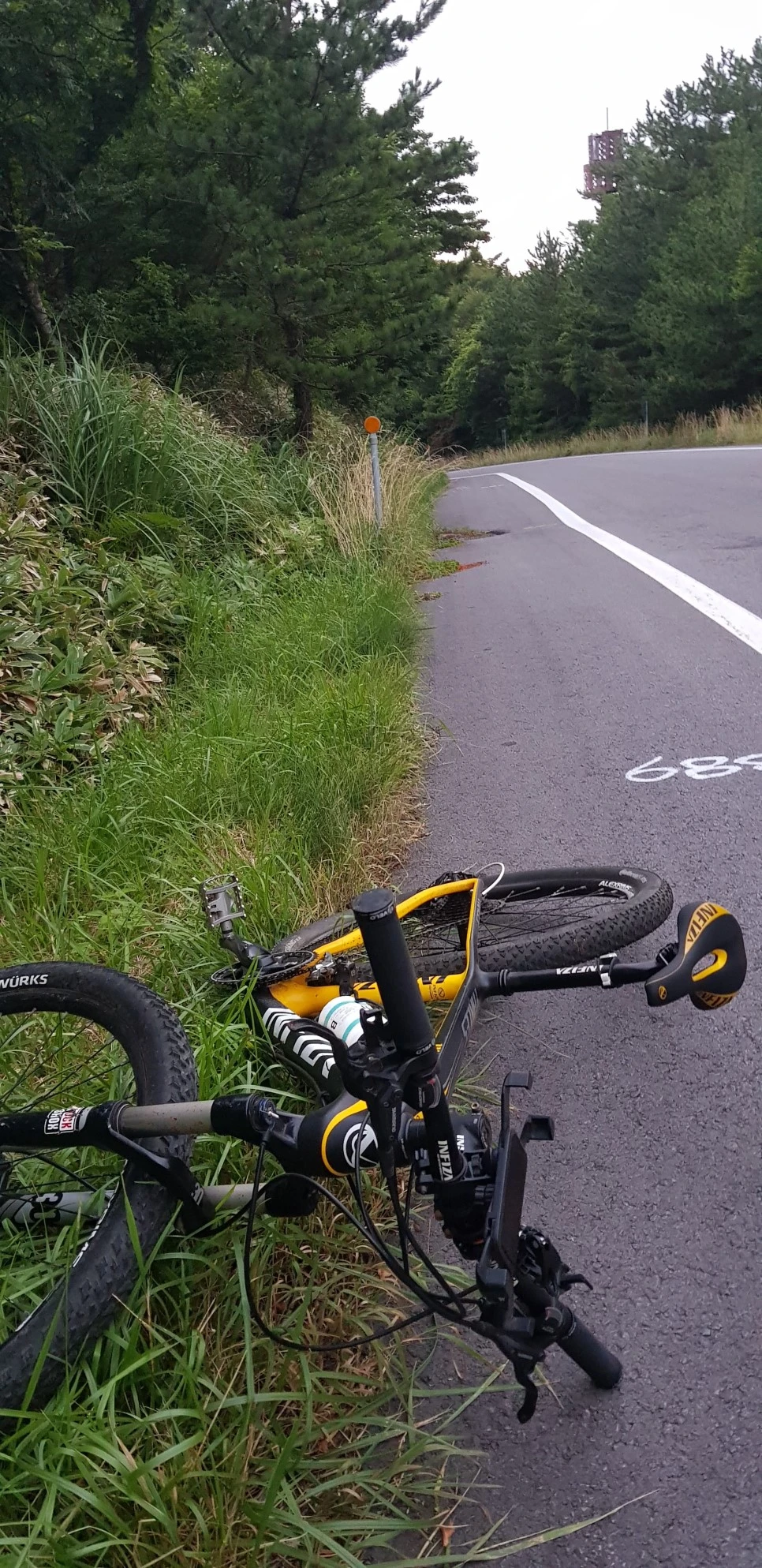 20180730_054543.jpg?type=w966