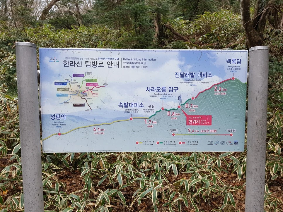 20161204_123949.jpg?type=w966