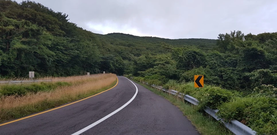 20180730_060354.jpg?type=w966