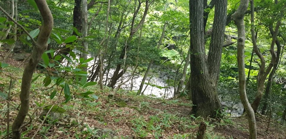 20180802_102210.jpg?type=w966