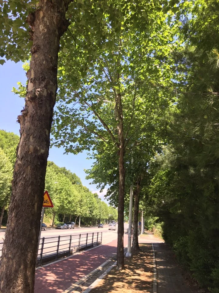 HAaJNQD7JP6ZBc9FxO2R7TDfBPagNnrEqTOLSiVcdtK47ZAtLDW0s0fuUhEHpx0ExC-5cBTinJFAu0b9-Z0XbsXUXAVXZ_39WrgxpAGi9-AIUCqF5keRwCgObeGiE7O9LKcuBL6Z