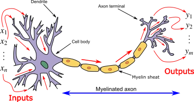 z4AdRDoUkoW1rU1NR7kMd1FmY7SJYjPRtl_JxkOlank1Hd3jY_VUxyxu9Z8xFx-eKhrAPkfy1zoxEtyNmGURrmJgt0361zQmDUcAd9sntb9O84h9gbpjLUsIgzjqEv7Pk6Tt9sp-