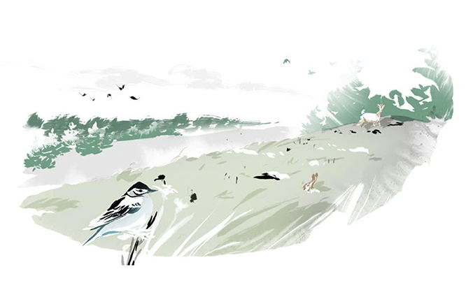 SE-0f466d3a-7c6a-40a0-9976-08c7401ffa04.jpg?type=w1