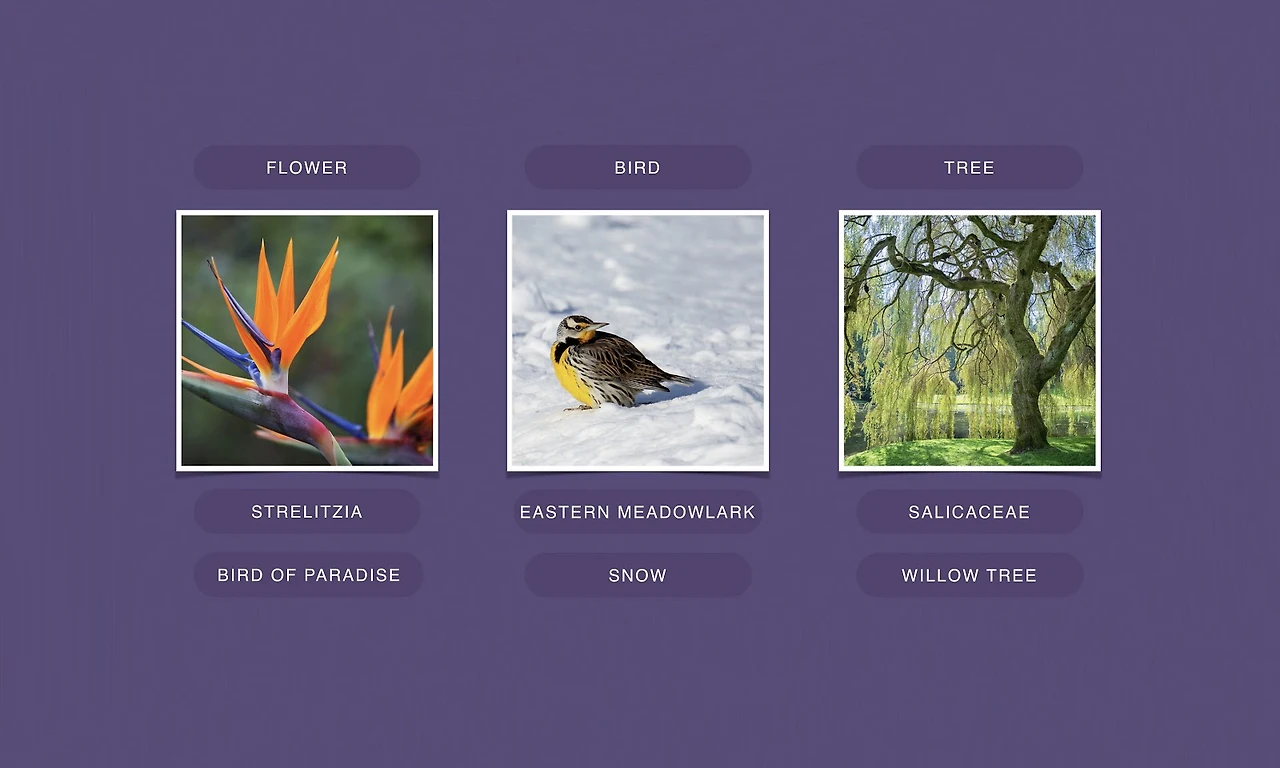 lBPlGEGBXLzYP7Tg11F7T3_rbLfnAq2BFtecy_ducMacLmztG3BVi7ulYKFLzgEjM7byK6RcBZuOP9w4IiaYGiSfpJVu64jUa_nI-Nc7H_pEJAXZz55IKHjiGHpbCDws-YkxeSf1