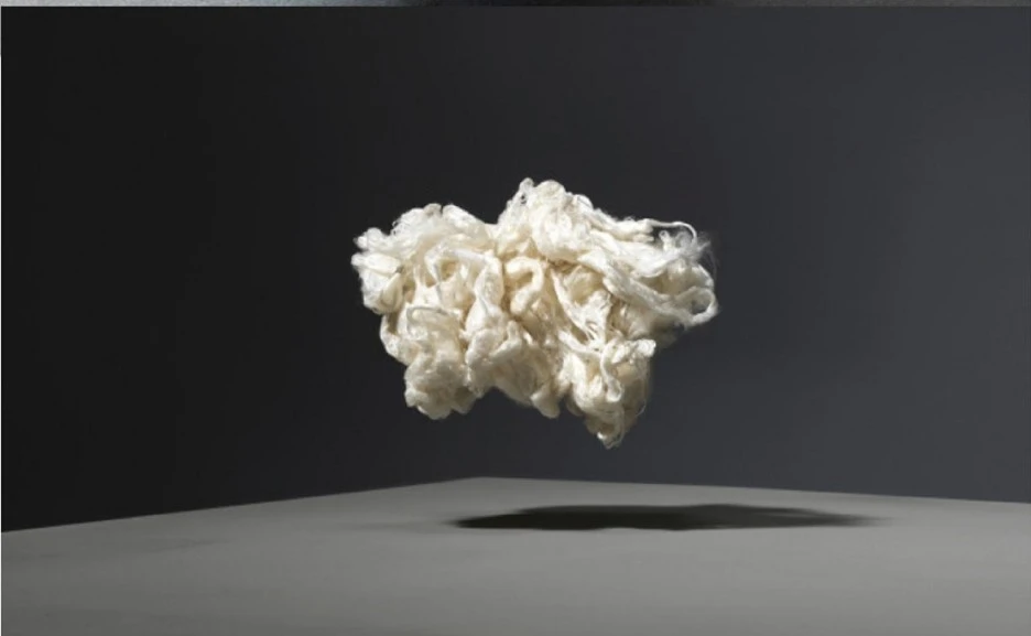 SE-3b921c63-a96f-43aa-90a4-bfe6de691aa6.jpg?type=w1