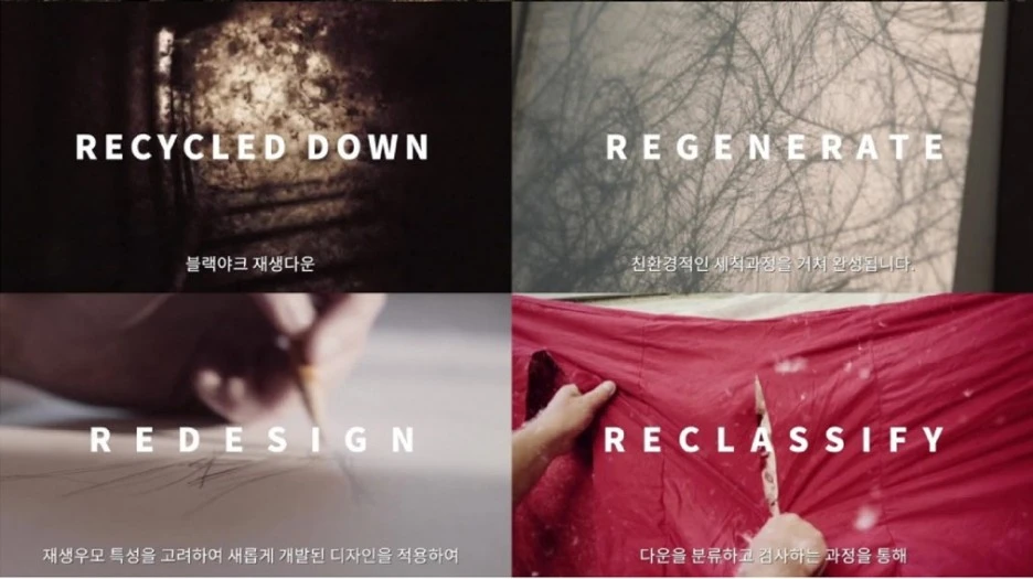 SE-b2f2f369-c975-4266-a5d8-ef588720c63b.jpg?type=w1