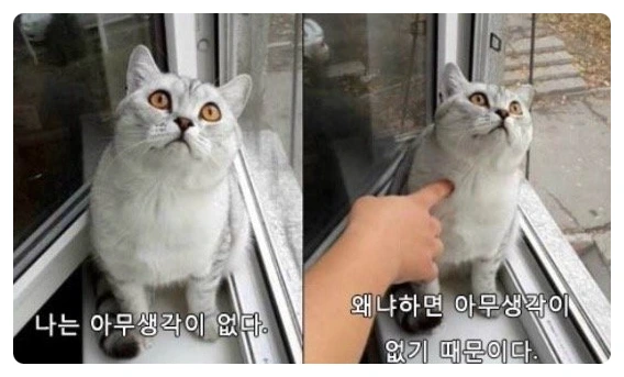 SE-5e60021f-4ee0-438e-8a0b-84de20b4b1f0.png?type=w773