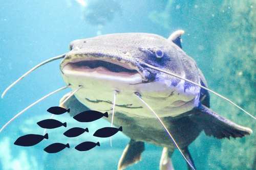 SE-ce73ec5d-50b9-4bbd-bb46-b0d6af424ff2.png?type=w773