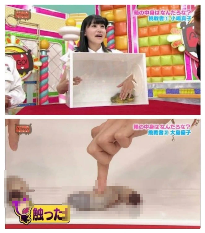 SE-4f8fdf6d-1fe5-4177-8574-7e5699ba2e85.png?type=w773