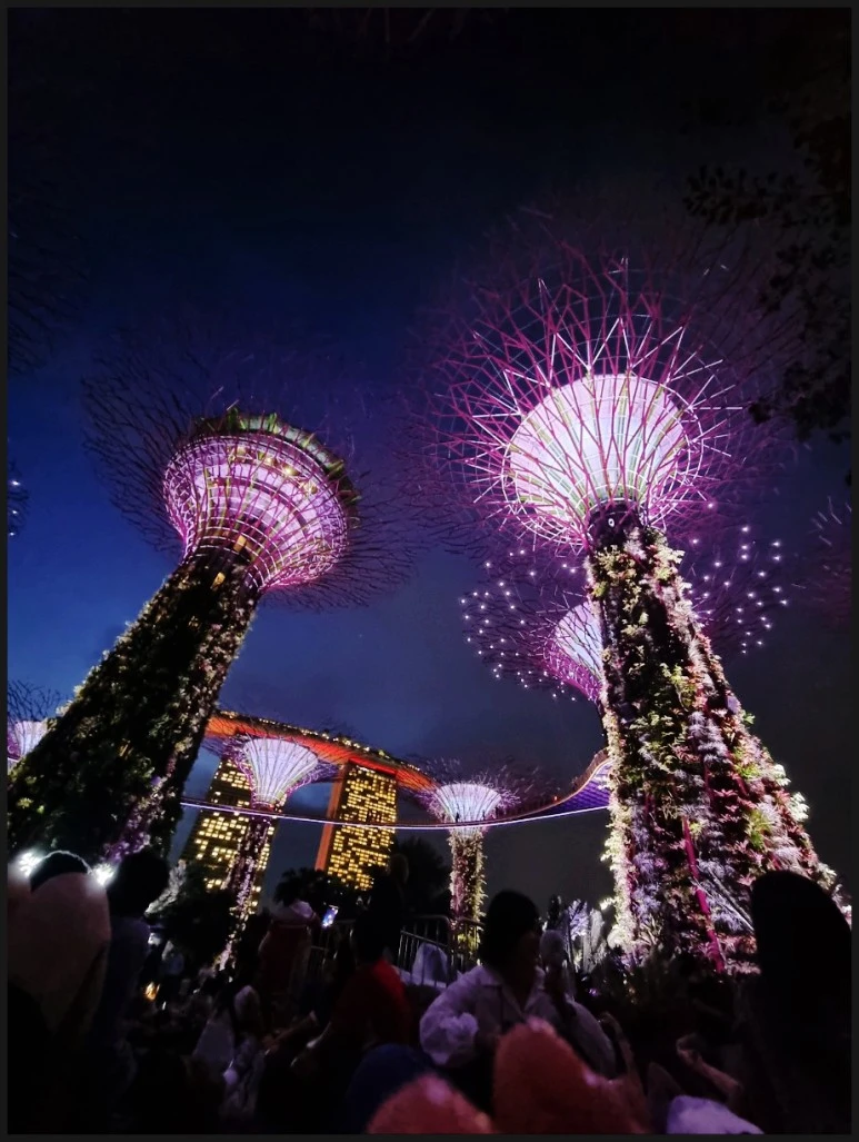 SE-46e54218-3dfa-4cfc-bf1a-7e9c44ec07a9.jpg?type=w773