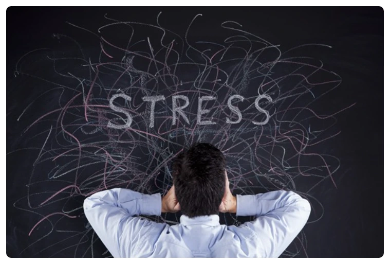 SE-885dc393-ca4b-4df9-a608-9e207d76b286.png?type=w773