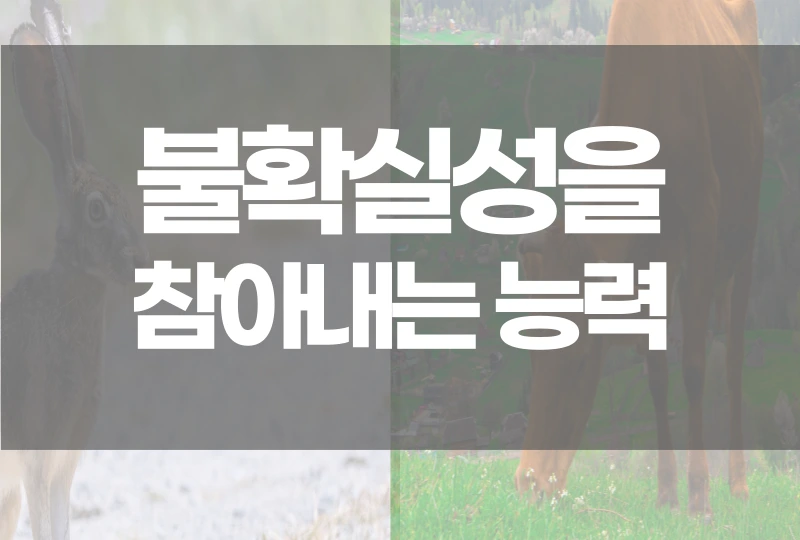 %EB%B6%88%ED%99%95%EC%8B%A4%EC%84%B1%EC%9D%84%EC%B0%B8%EC%95%84%EB%82%B4%EB%8A%94%EB%8A%A5%EB%A0%A5.png?type=w1