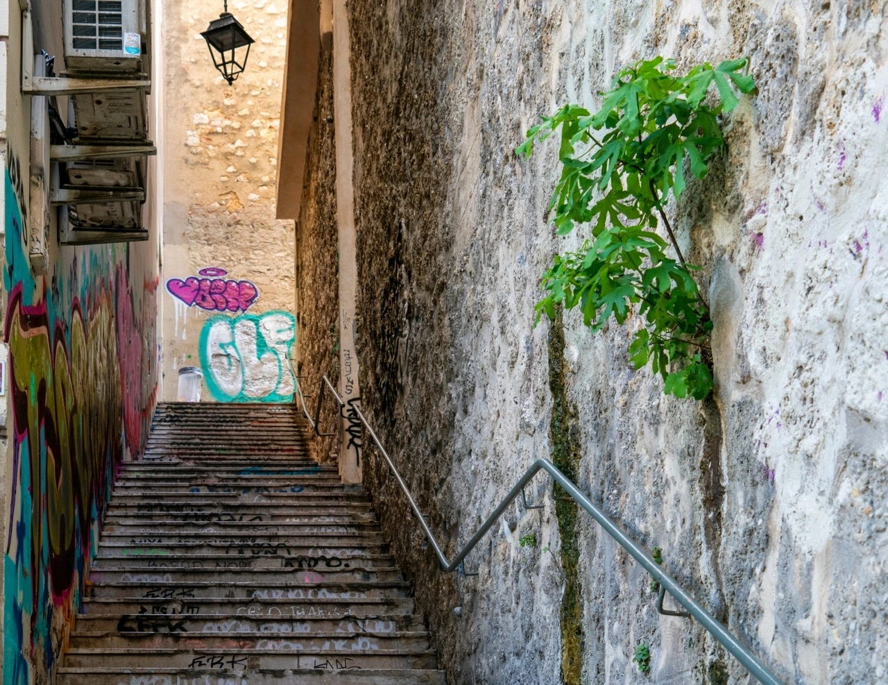 DSC09482 크게.jpeg