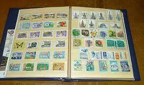 다운로드 (1).jfif