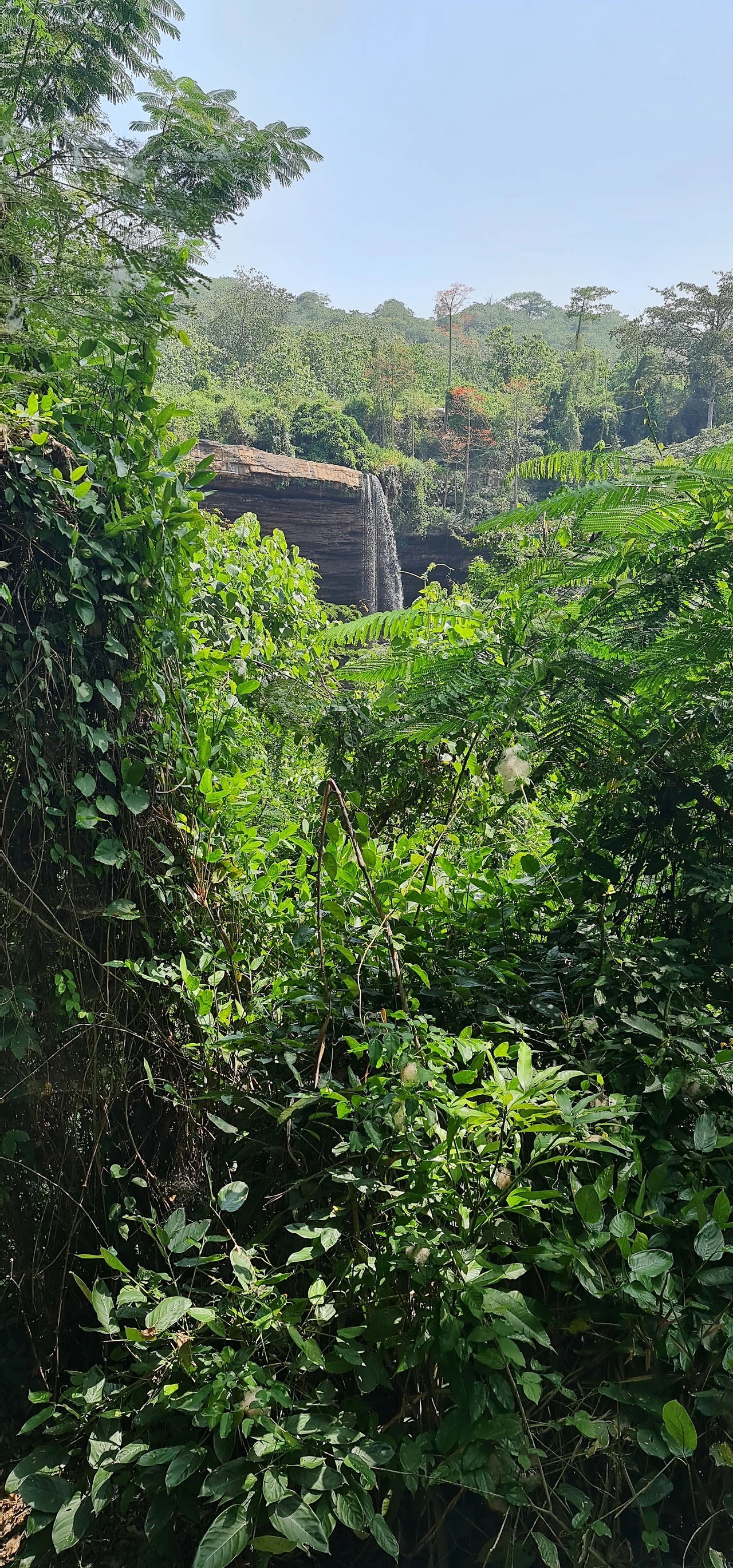 11화 세상을 읽는 기본 상식, 공포와 탐욕 지수