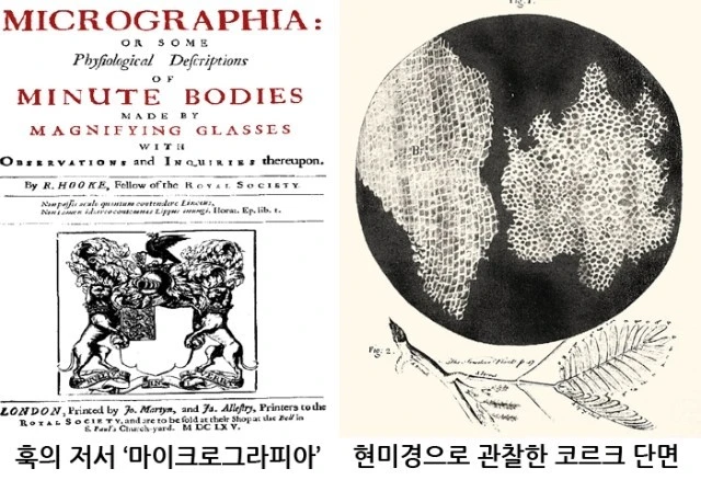 레리우엔후크가보던 마이크로그라피아.jfif