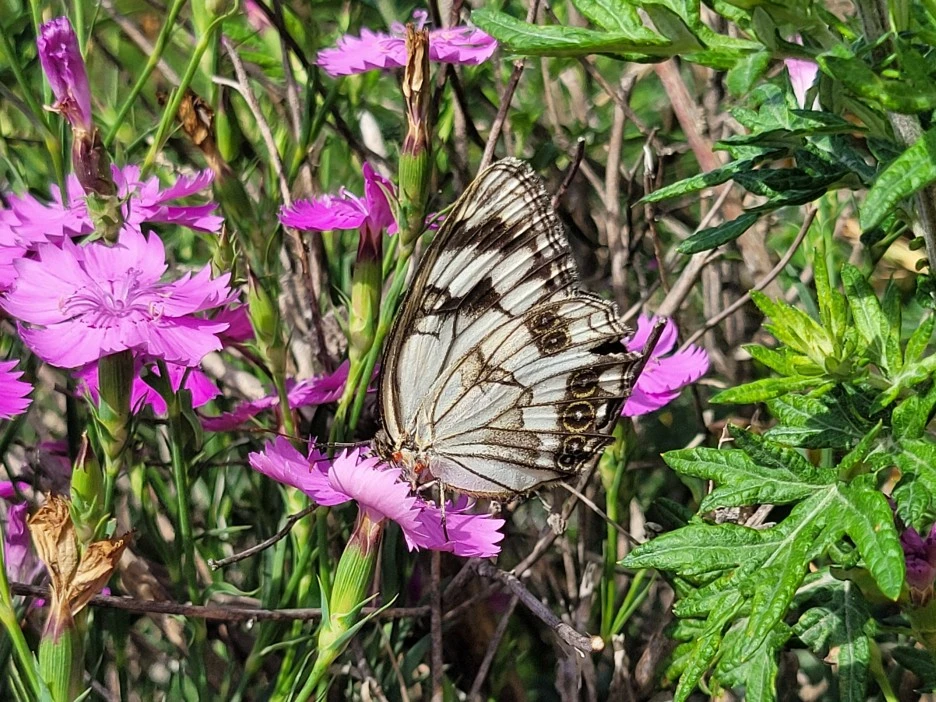 KakaoTalk_20220708_104212238.jpg?type=w1