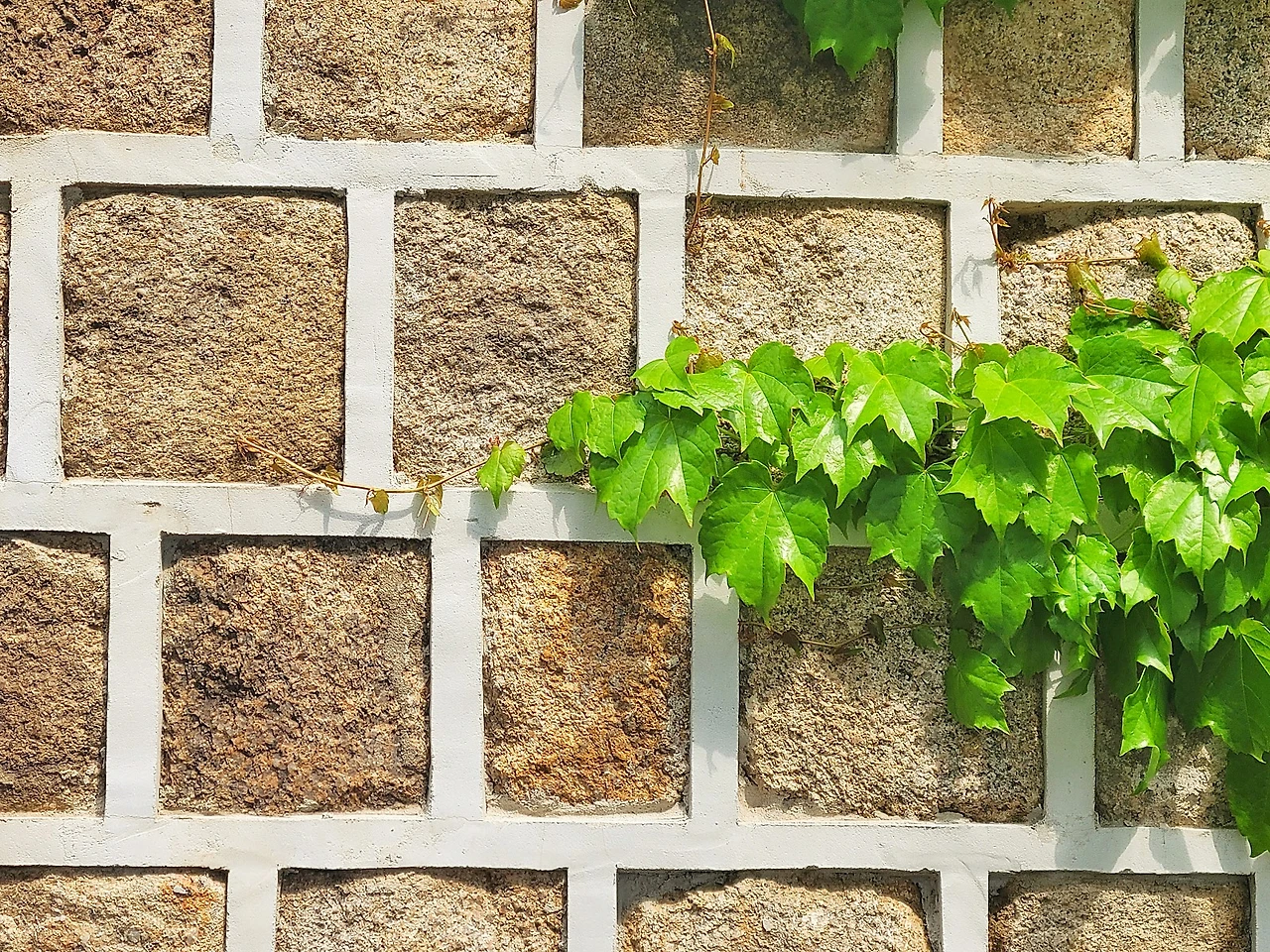 KakaoTalk_20230502_000347172_06.jpg?type=w1600