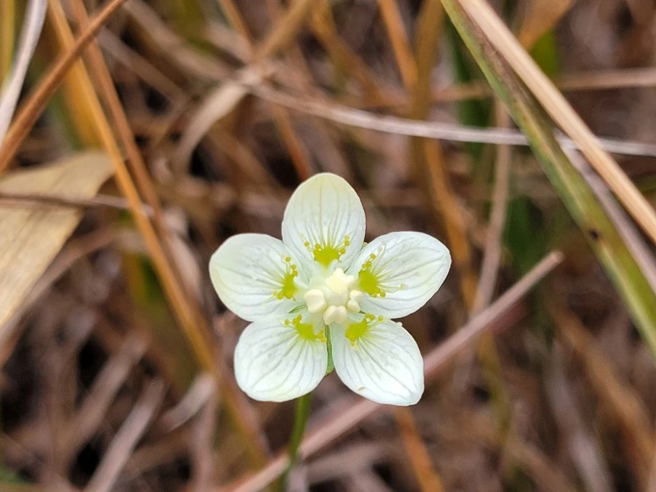 KakaoTalk_20211129_195951851_04.jpg?type=w1