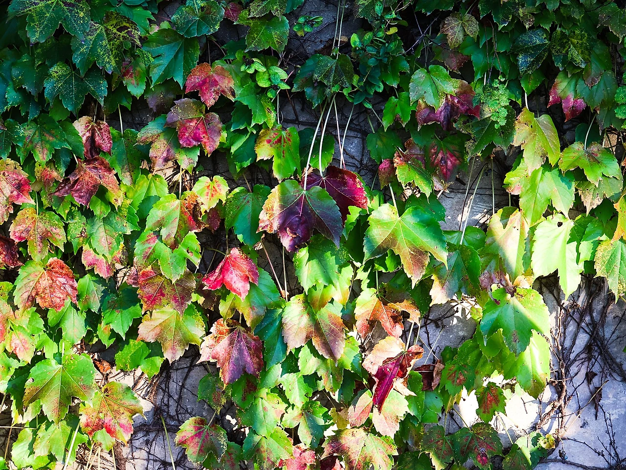 %EC%84%A0%EC%BA%902.jpg?type=w1600