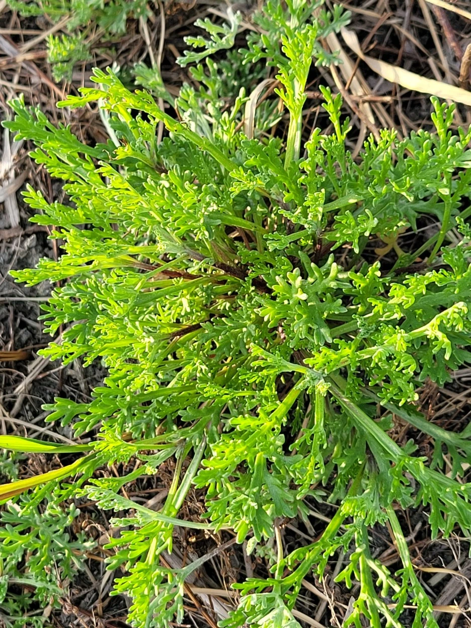 KakaoTalk_20220430_221249621.jpg?type=w1