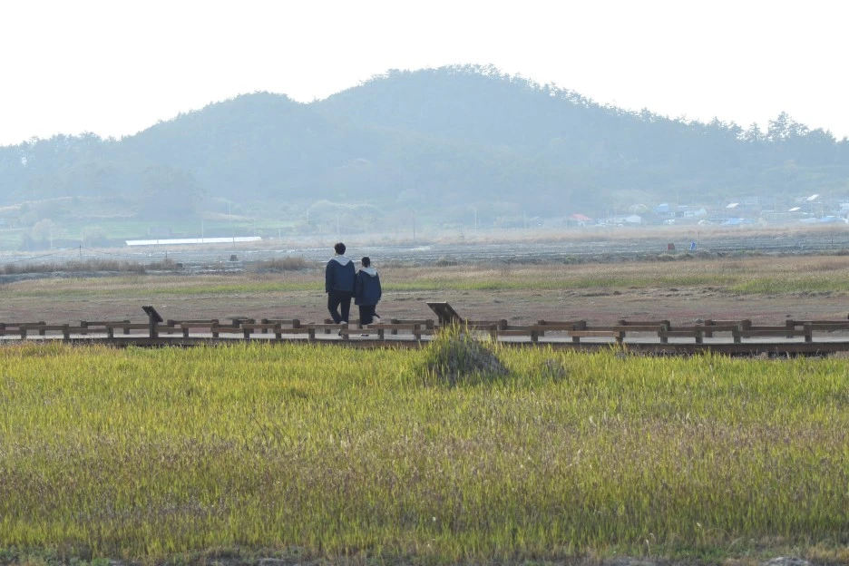 DSC_4184.JPG?type=w1