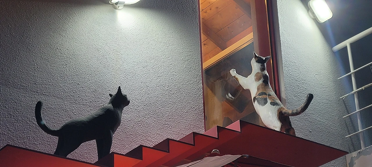 20230514_195327.jpg?type=w1600