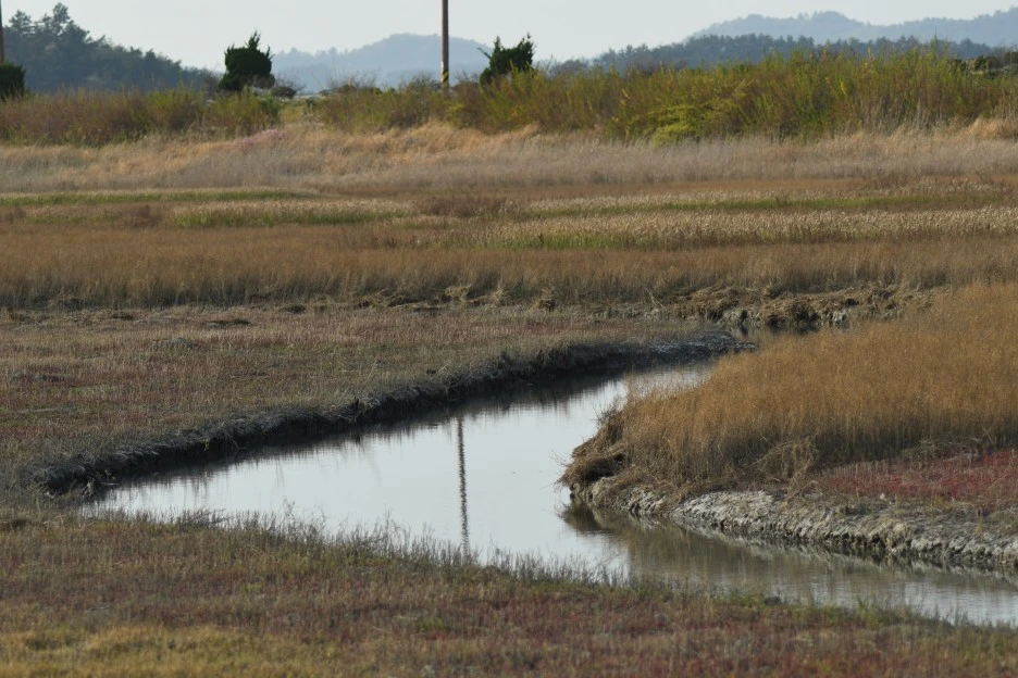 DSC_4214.JPG?type=w1