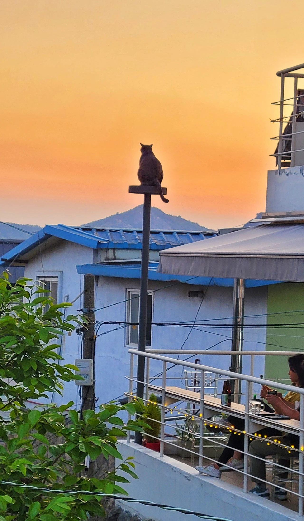 KakaoTalk_20230520_041301841.jpg?type=w1600