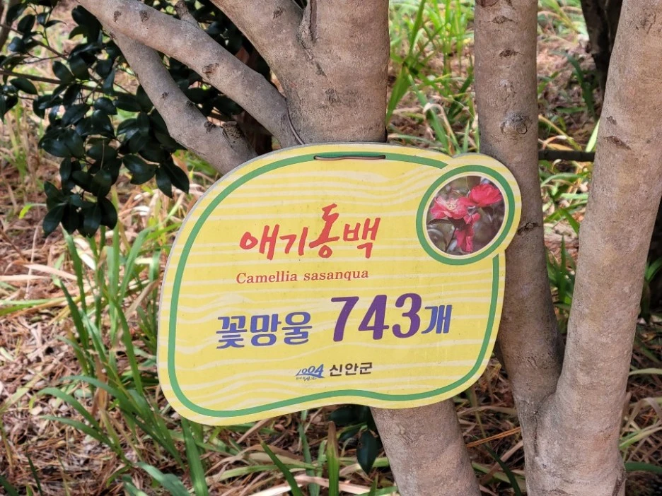 KakaoTalk_20211129_195951851_09.jpg?type=w1