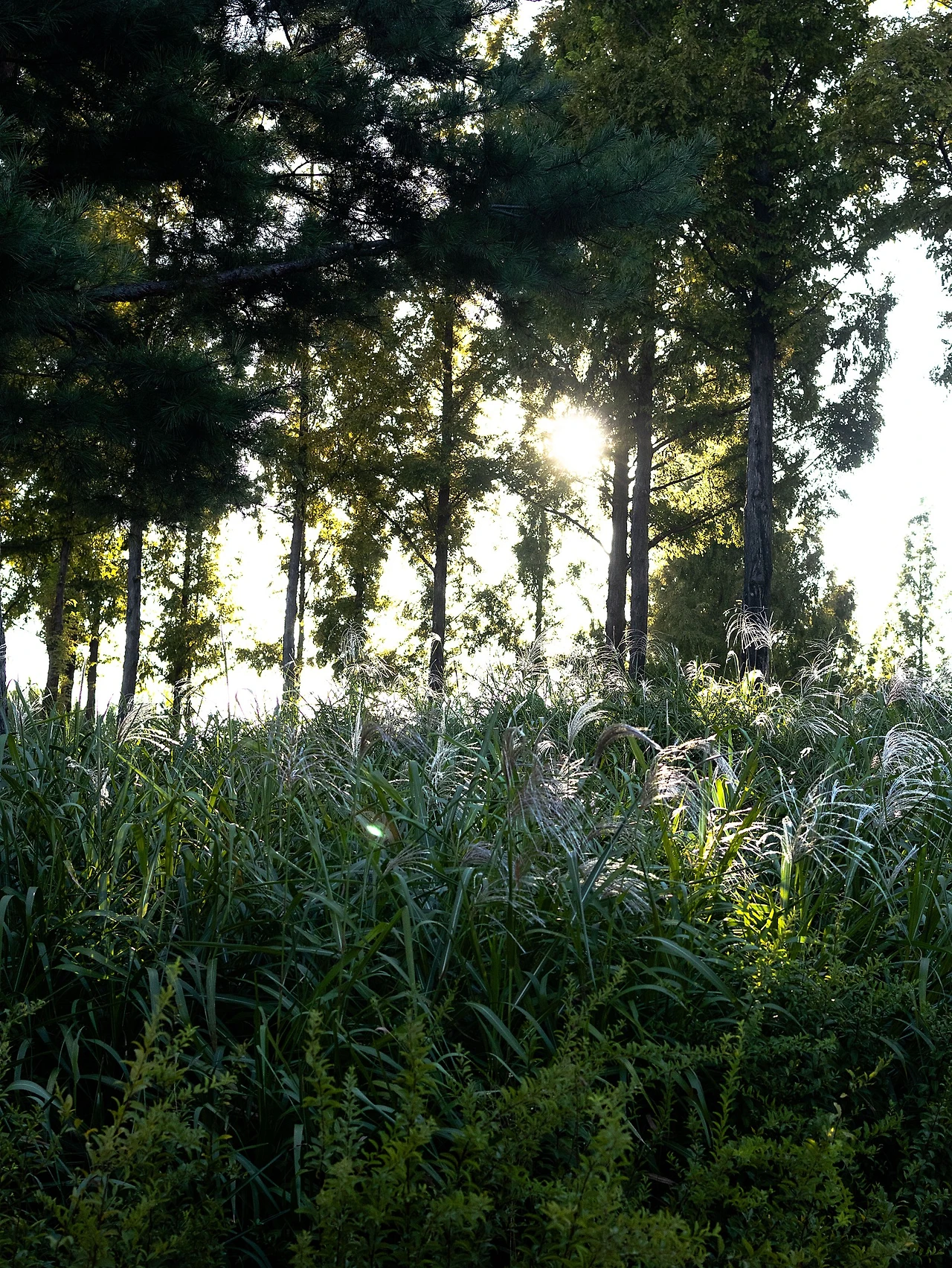 %EC%84%A0%EC%BA%905.jpg?type=w1600