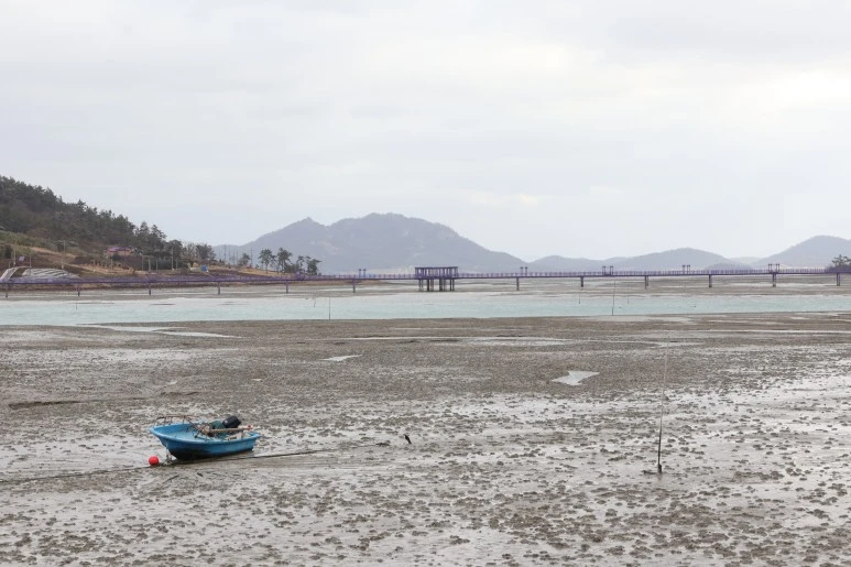 IMG_6983.JPG?type=w773