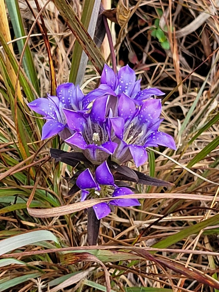 KakaoTalk_20211129_195951851_06.jpg?type=w1