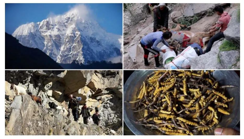 EBS 세계테마기행.JPG