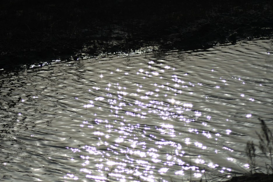 DSC_4207.JPG?type=w1