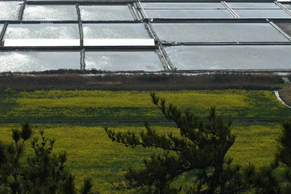 DSC_4044.JPG?type=w1