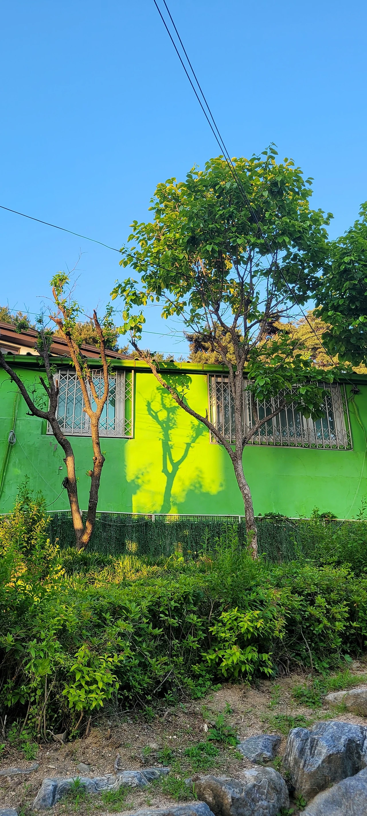 KakaoTalk_20230520_041301841_20.jpg?type=w1600