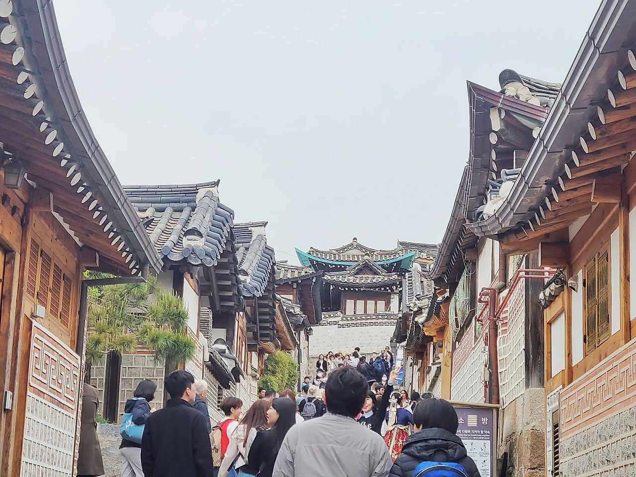 KakaoTalk_20230503_082529314_18.jpg?type=w1600