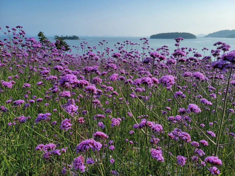 KakaoTalk_20220629_192010008_10.jpg?type=w1