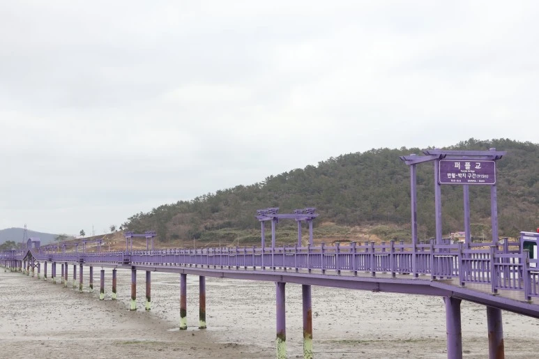 IMG_7049.JPG?type=w773