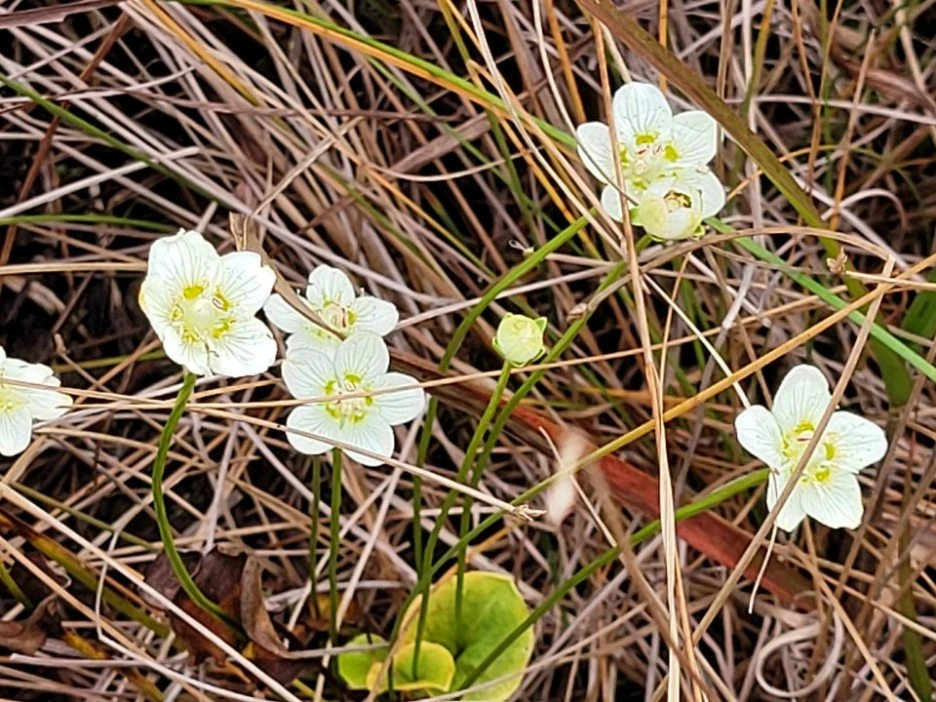 KakaoTalk_20211129_195951851_05.jpg?type=w1